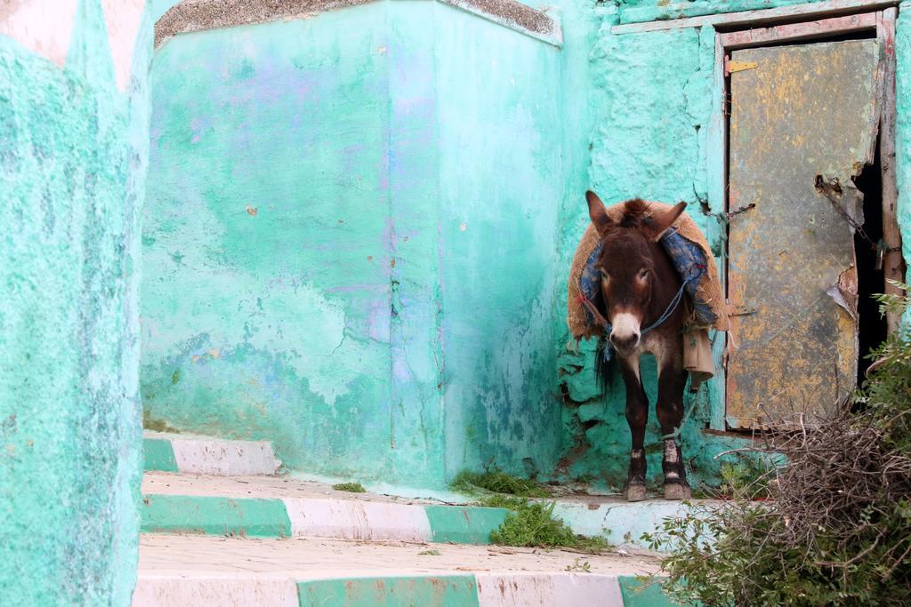 Dar Zerhoune Bed & Breakfast Moulay Idriss Exterior photo